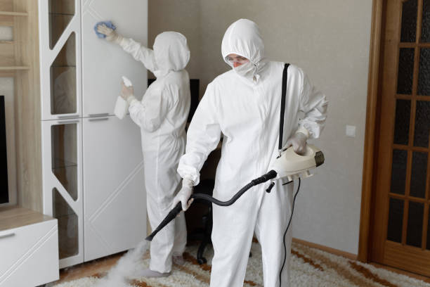 Affordable Infectious Disease Decontamination solutions in Prairie Du Rocher, IL